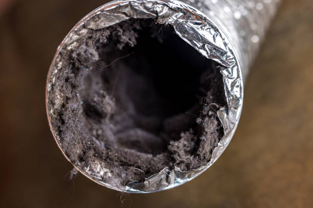 Best Duct Cleaning for Offices  in Elkader, IA