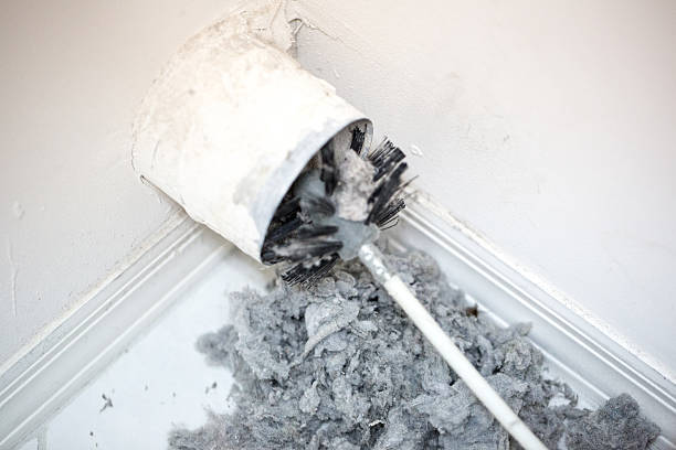 Best HVAC System Cleaning  in Elkader, IA